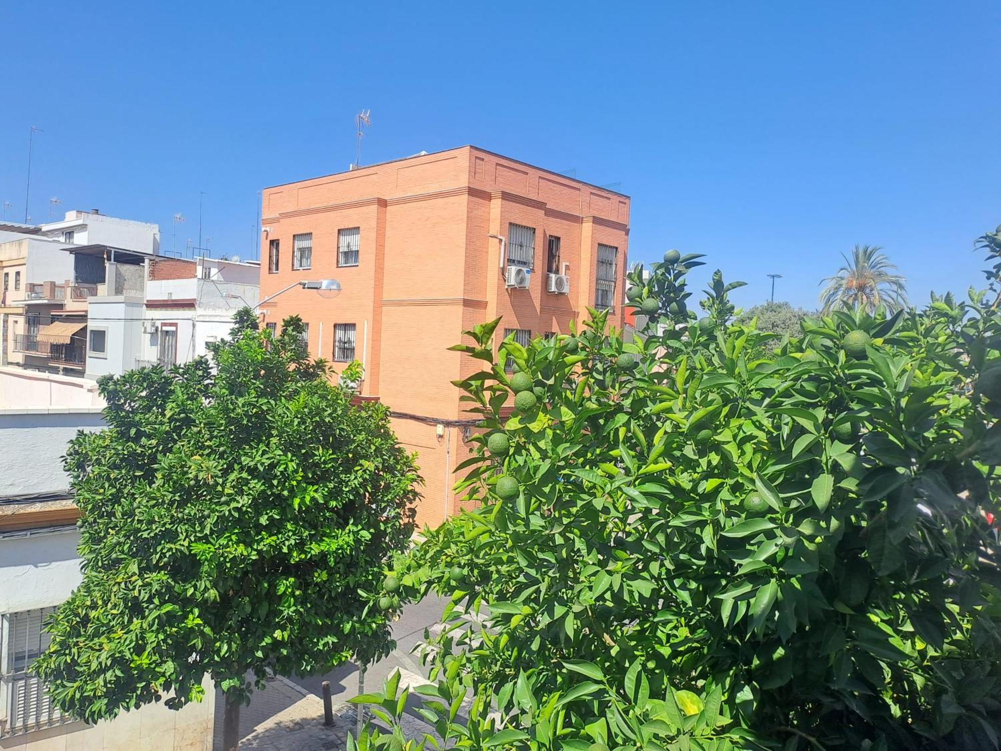 Apartamento Casa Salma Sevilla Exterior foto