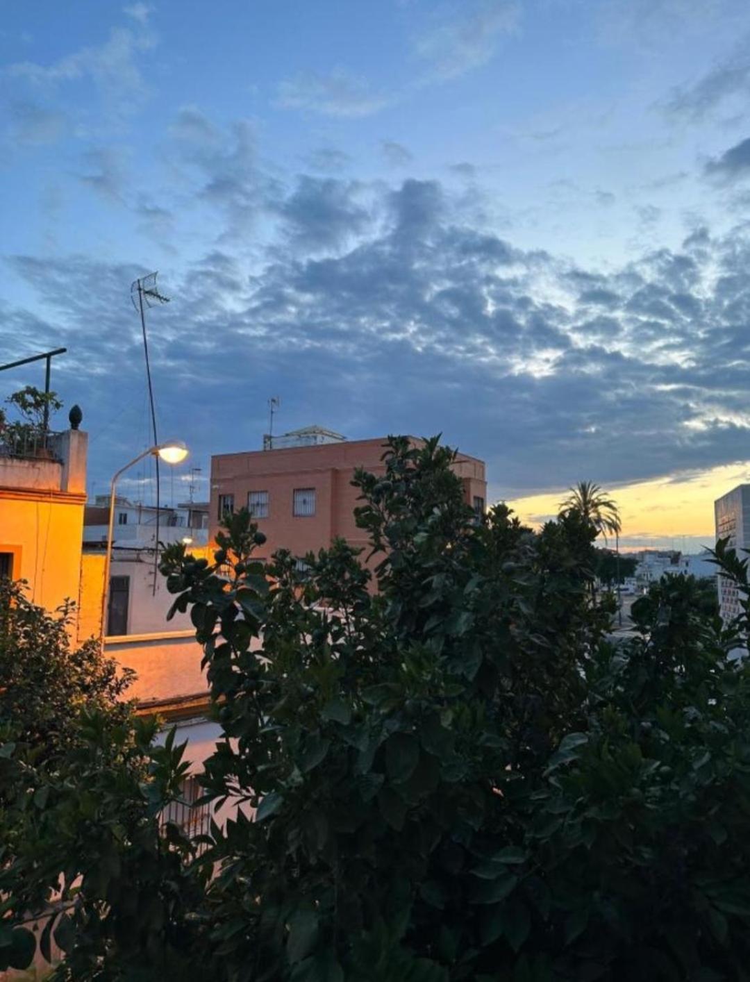 Apartamento Casa Salma Sevilla Exterior foto